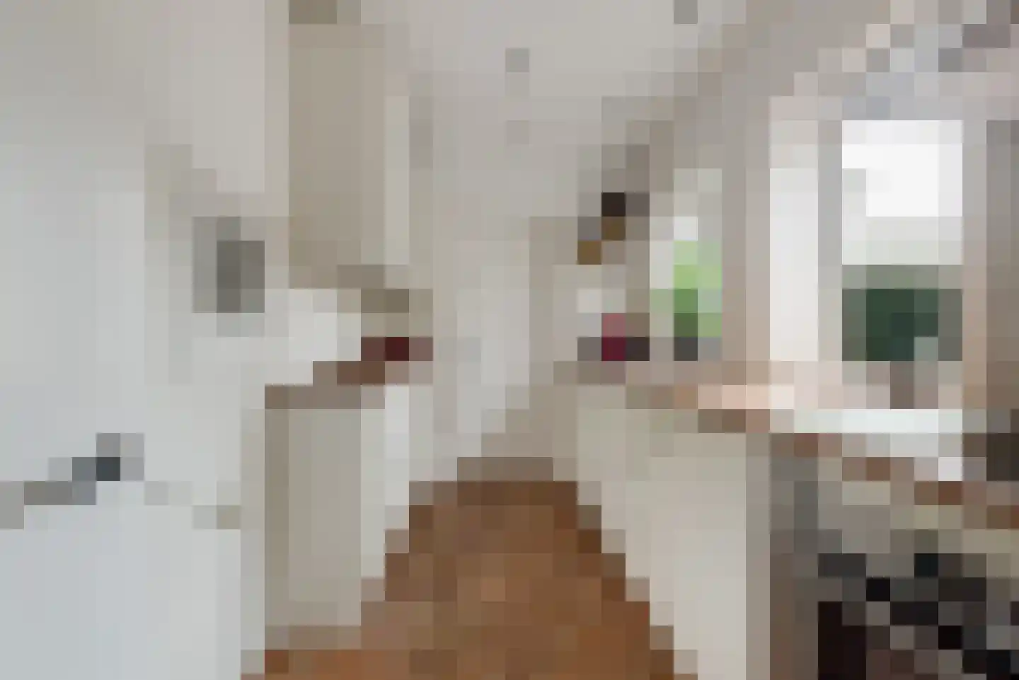 Prins Hendrikkade 3 Halfweg thumbnail 20