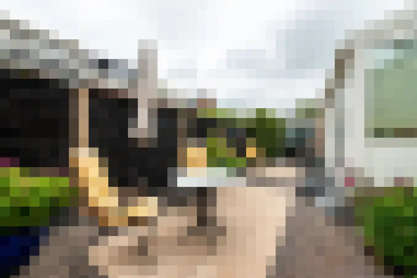 Prins Hendrikkade 3 Halfweg thumbnail 40
