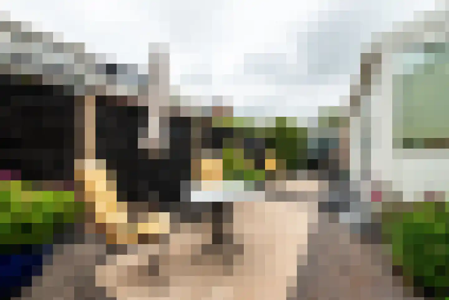 Prins Hendrikkade 3 Halfweg thumbnail 40