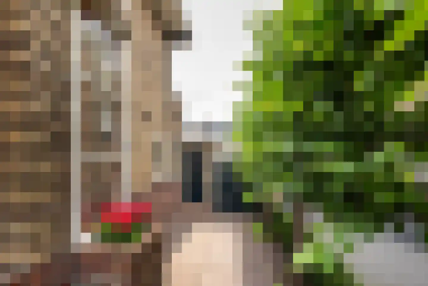Prins Hendrikkade 3 Halfweg thumbnail 6