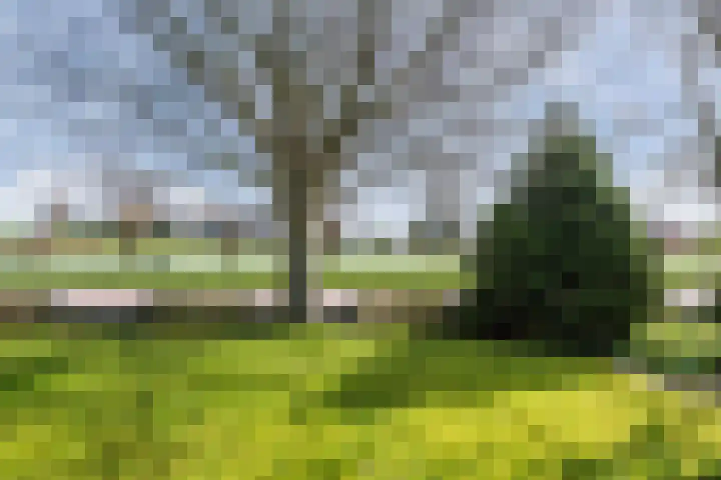 Prins Hendrikkade 38 Broek op Langedijk thumbnail 47
