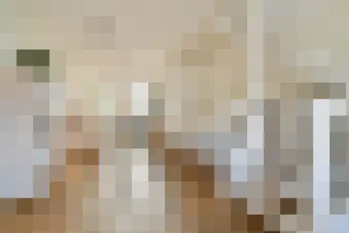 Prins Hendrikkade 48 Zaandam thumbnail 5