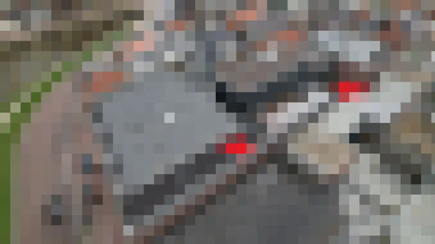Prins Hendrikkade 54 104 Sneek thumbnail 4