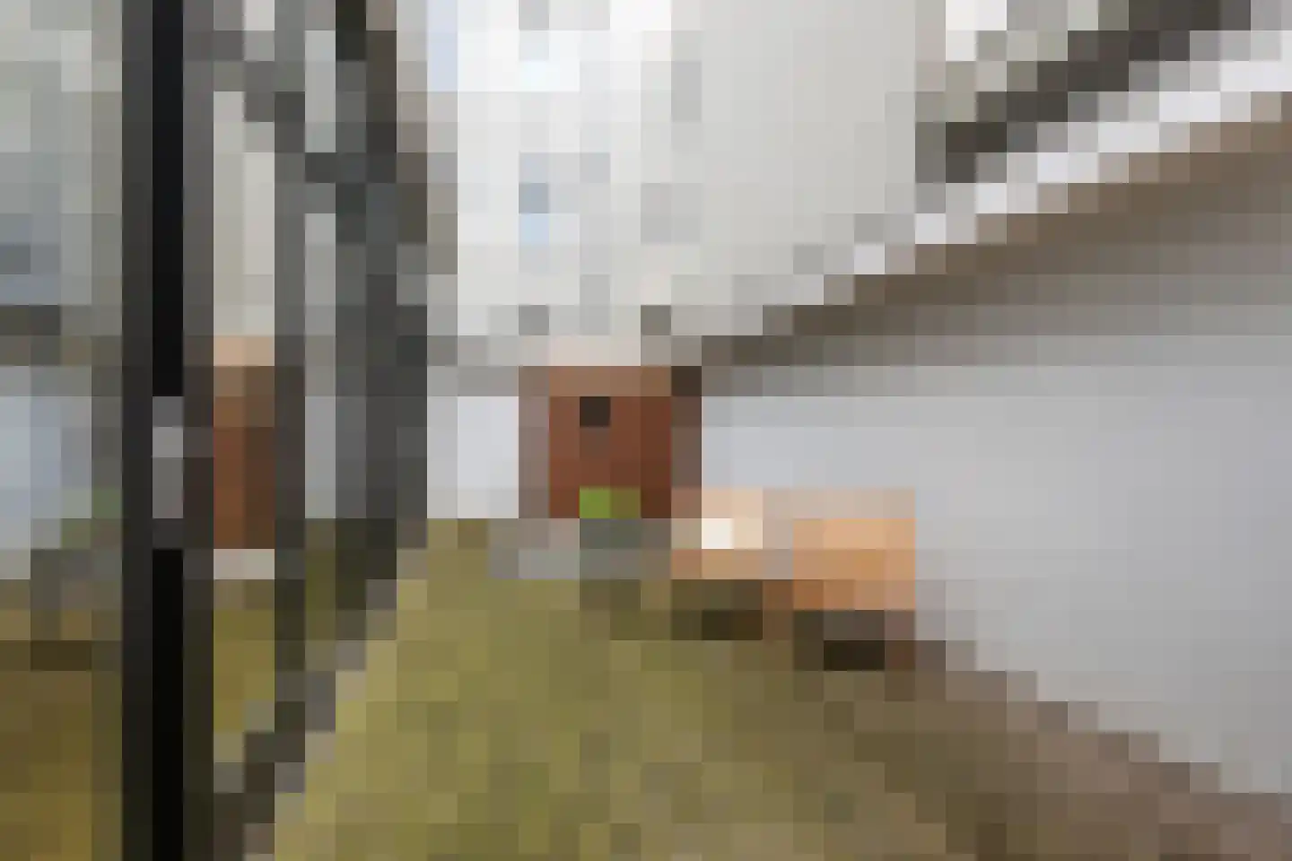 Prins Hendrikkade 67 B 01 Rotterdam thumbnail 30