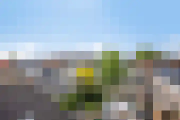 Prins Hendrikkade 7 a Sneek thumbnail 38
