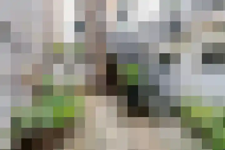 Prins Hendrikkade 78 E Amsterdam thumbnail 28