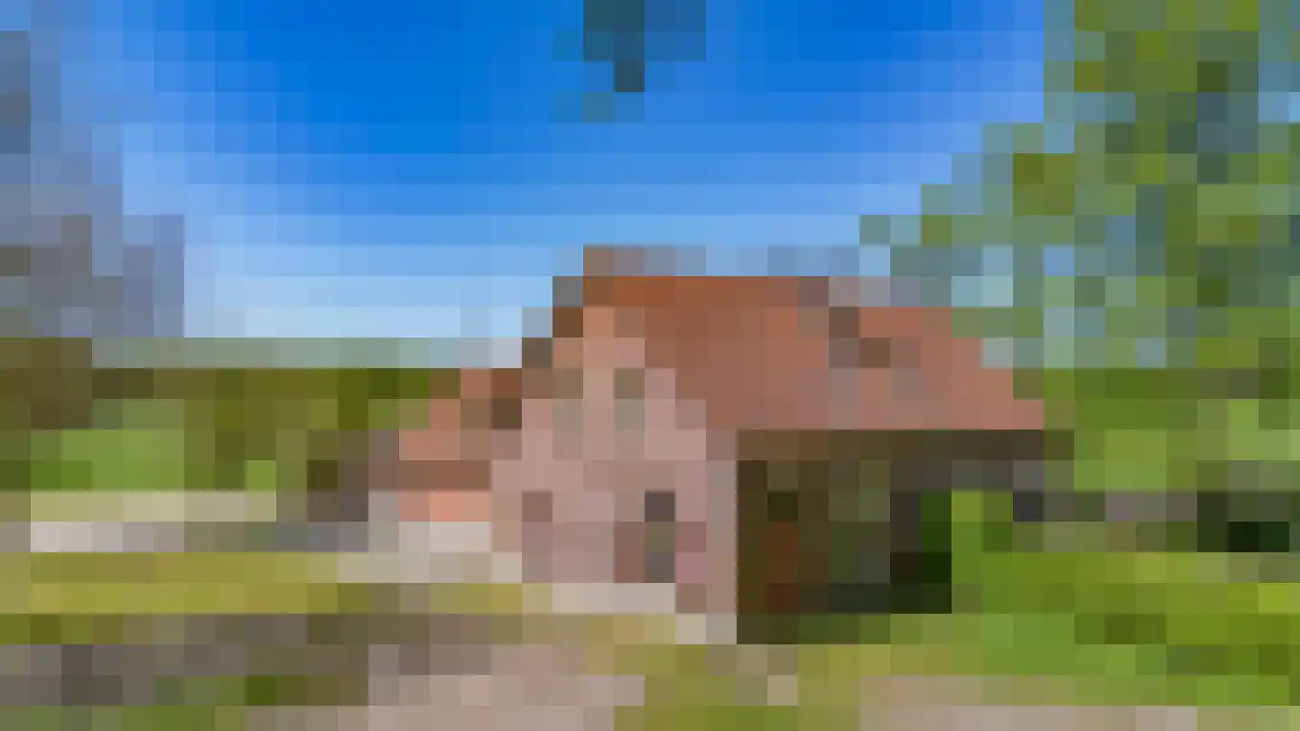 Prins Hendriklaan 1 Hooge Mierde foto 2