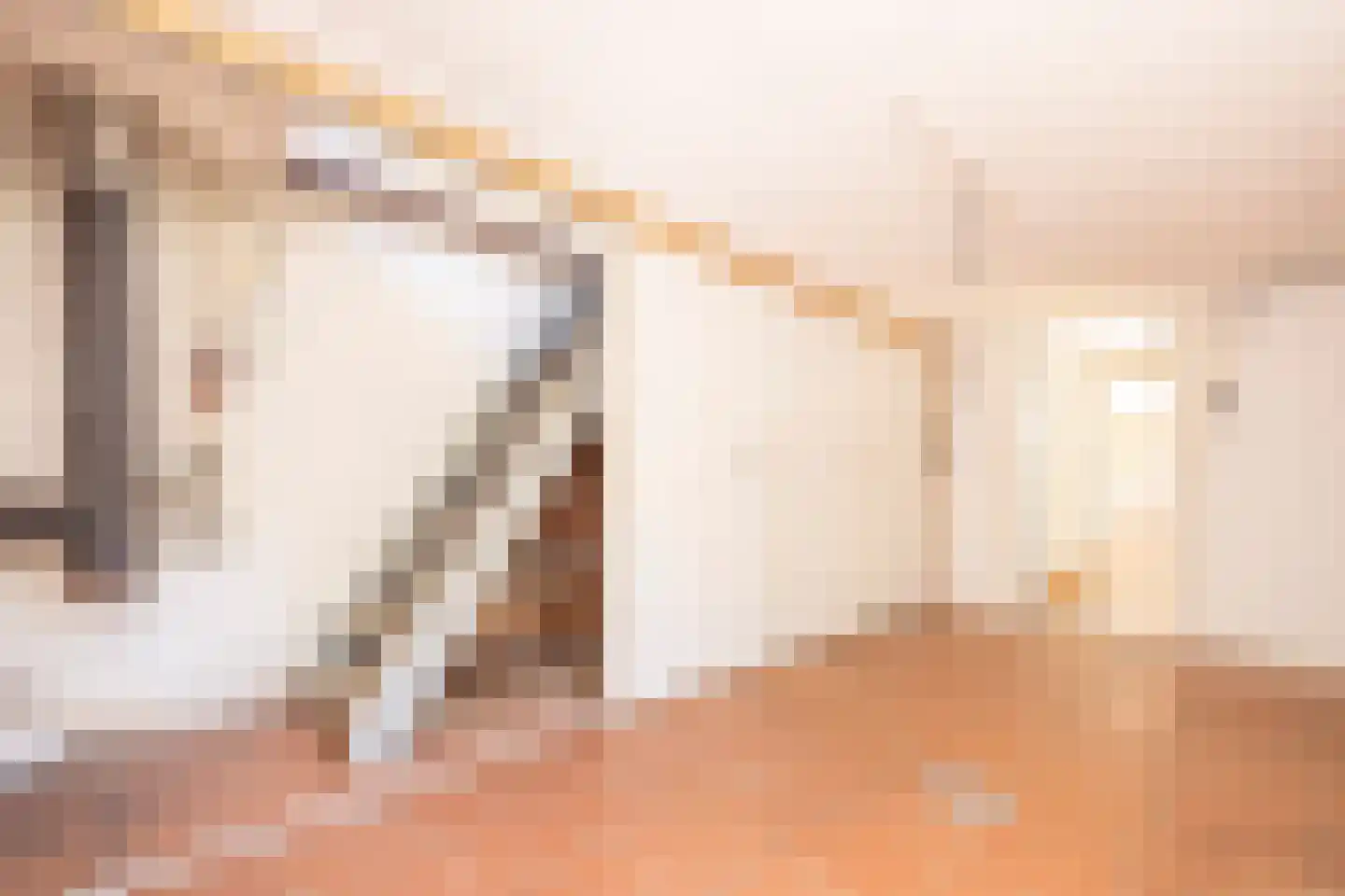 Prins Hendriklaan 1 Hooge Mierde thumbnail 20