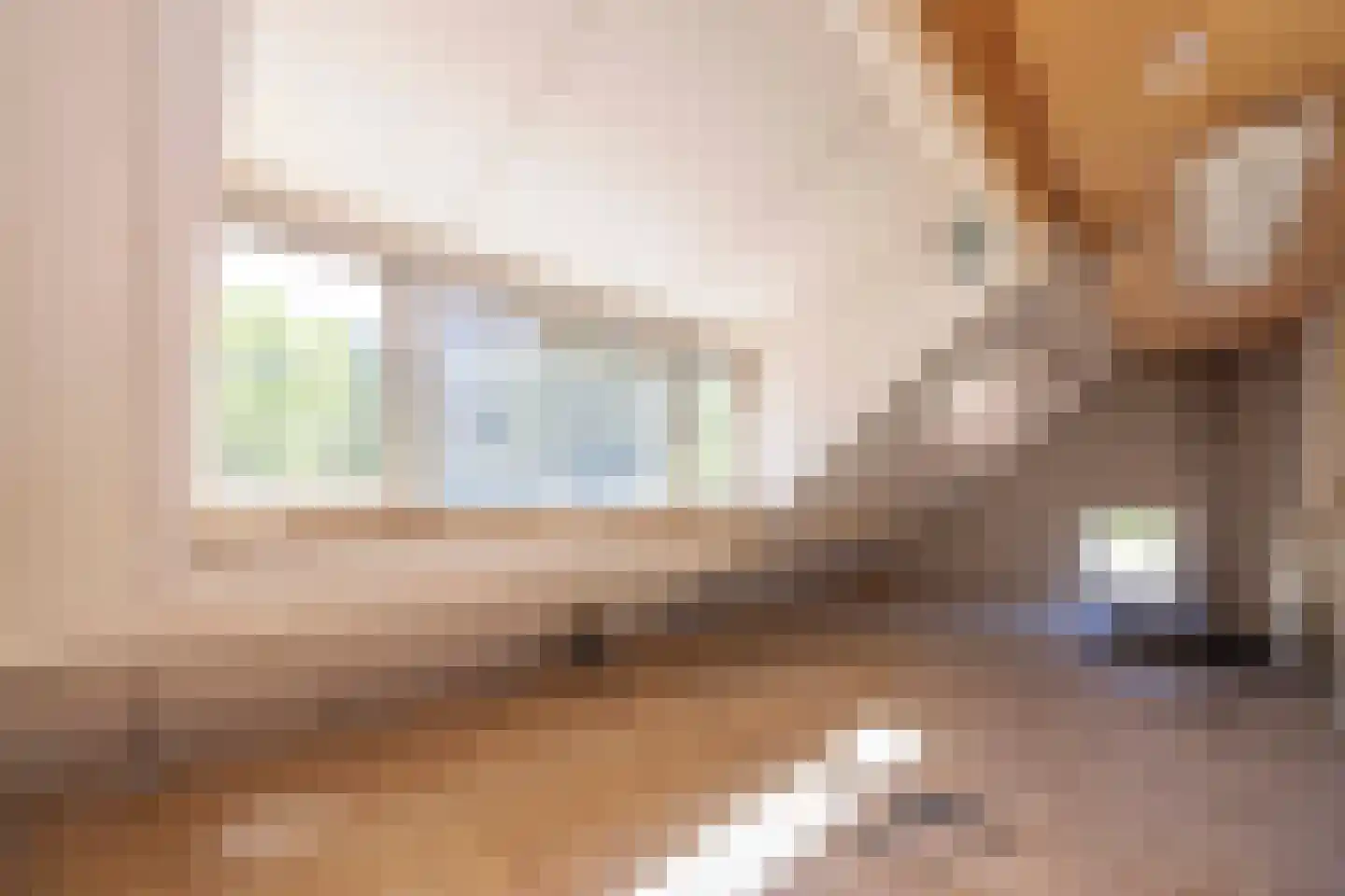 Prins Hendriklaan 1 Hooge Mierde thumbnail 21