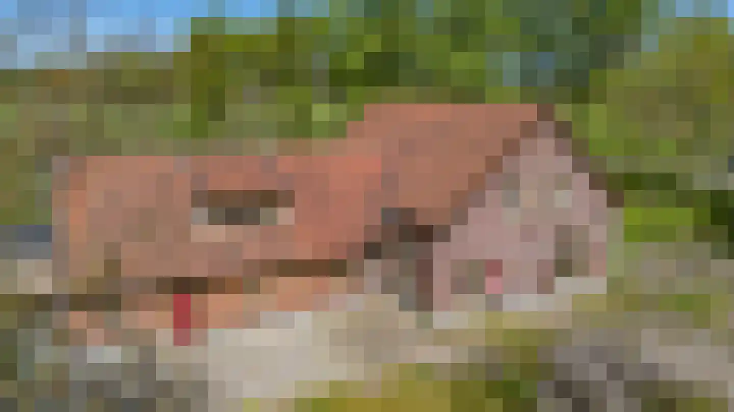 Prins Hendriklaan 1 Hooge Mierde foto 3