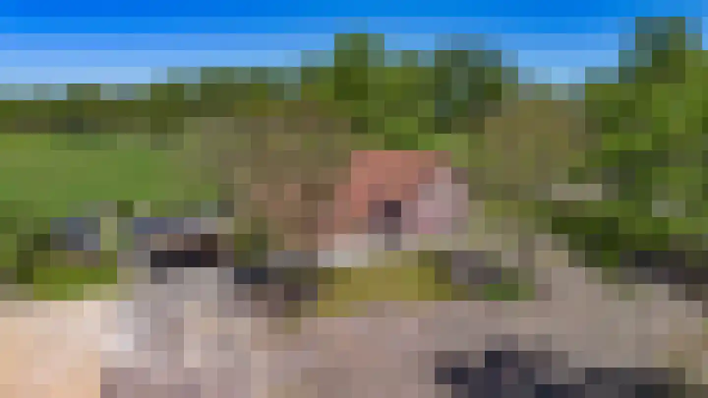 Prins Hendriklaan 1 Hooge Mierde thumbnail 33