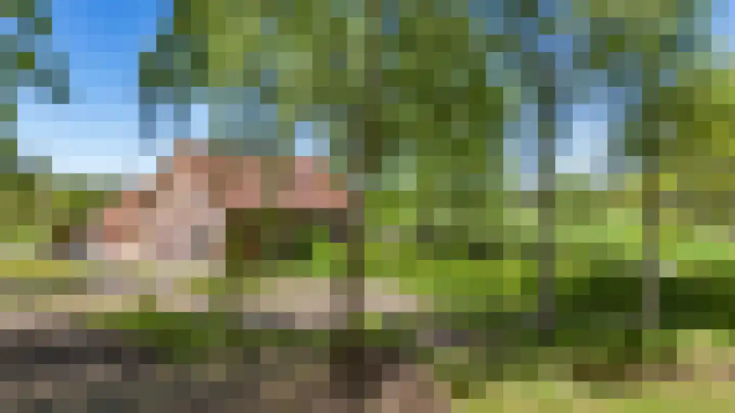 Prins Hendriklaan 1 Hooge Mierde thumbnail 34