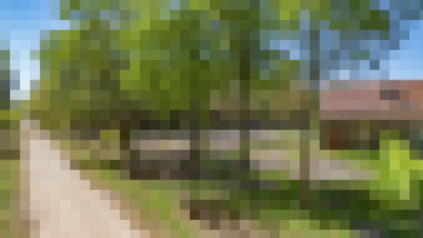 Prins Hendriklaan 1 Hooge Mierde thumbnail 35