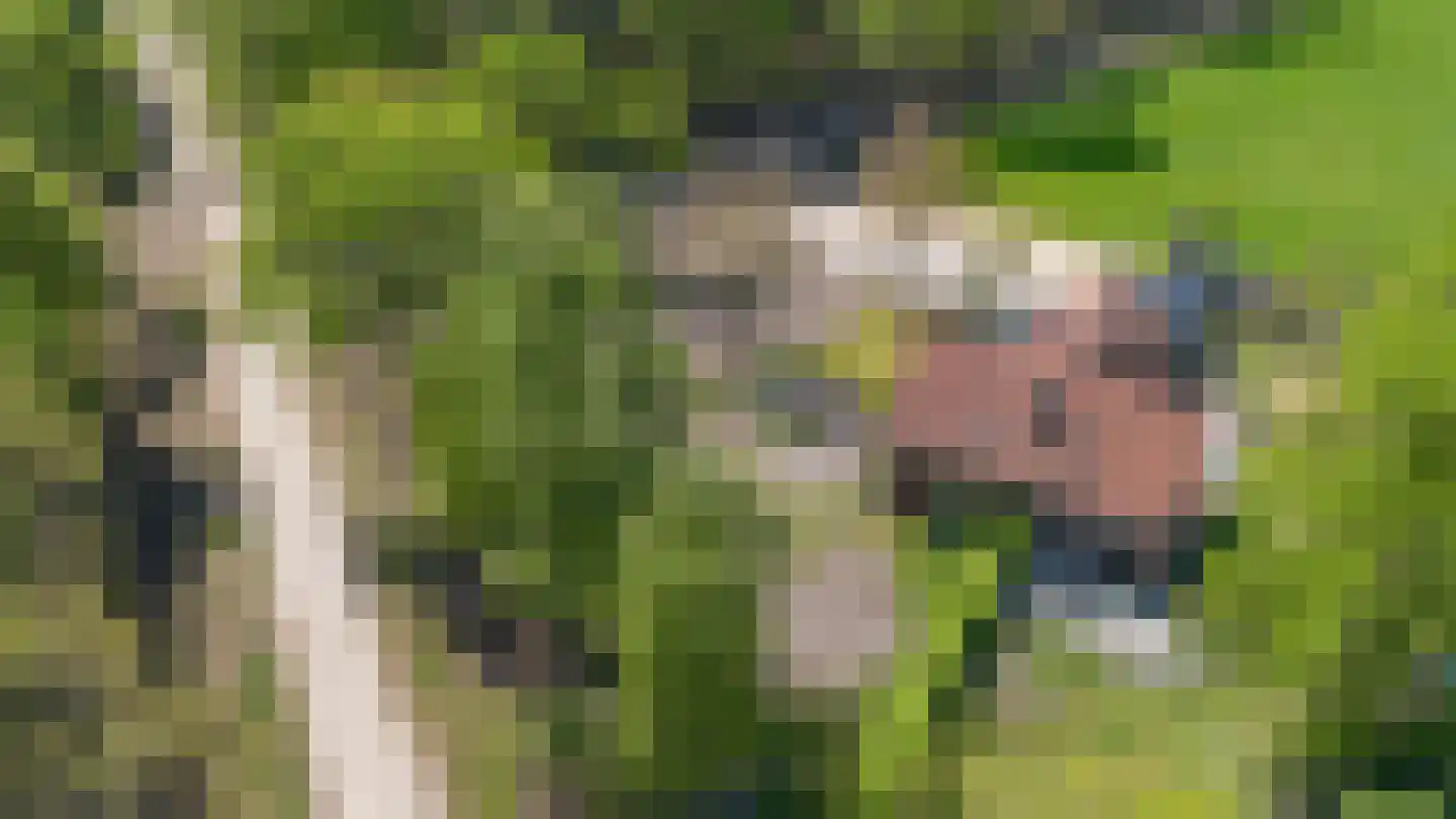 Prins Hendriklaan 1 Hooge Mierde thumbnail 36