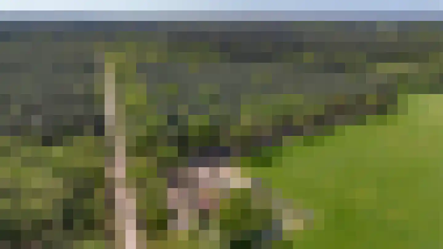 Prins Hendriklaan 1 Hooge Mierde thumbnail 37