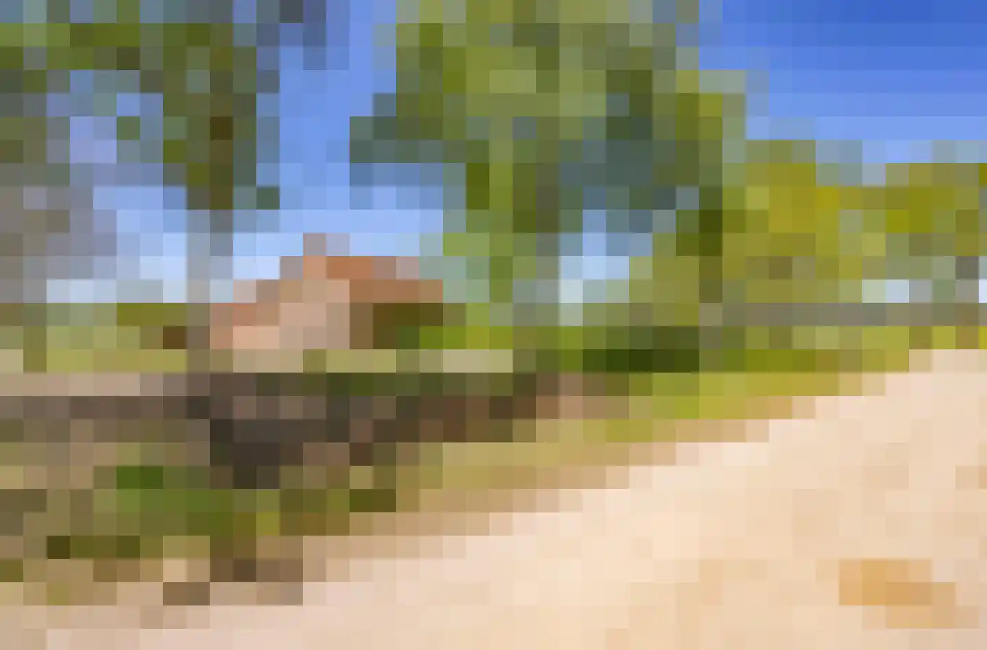 Prins Hendriklaan 1 Hooge Mierde thumbnail 38