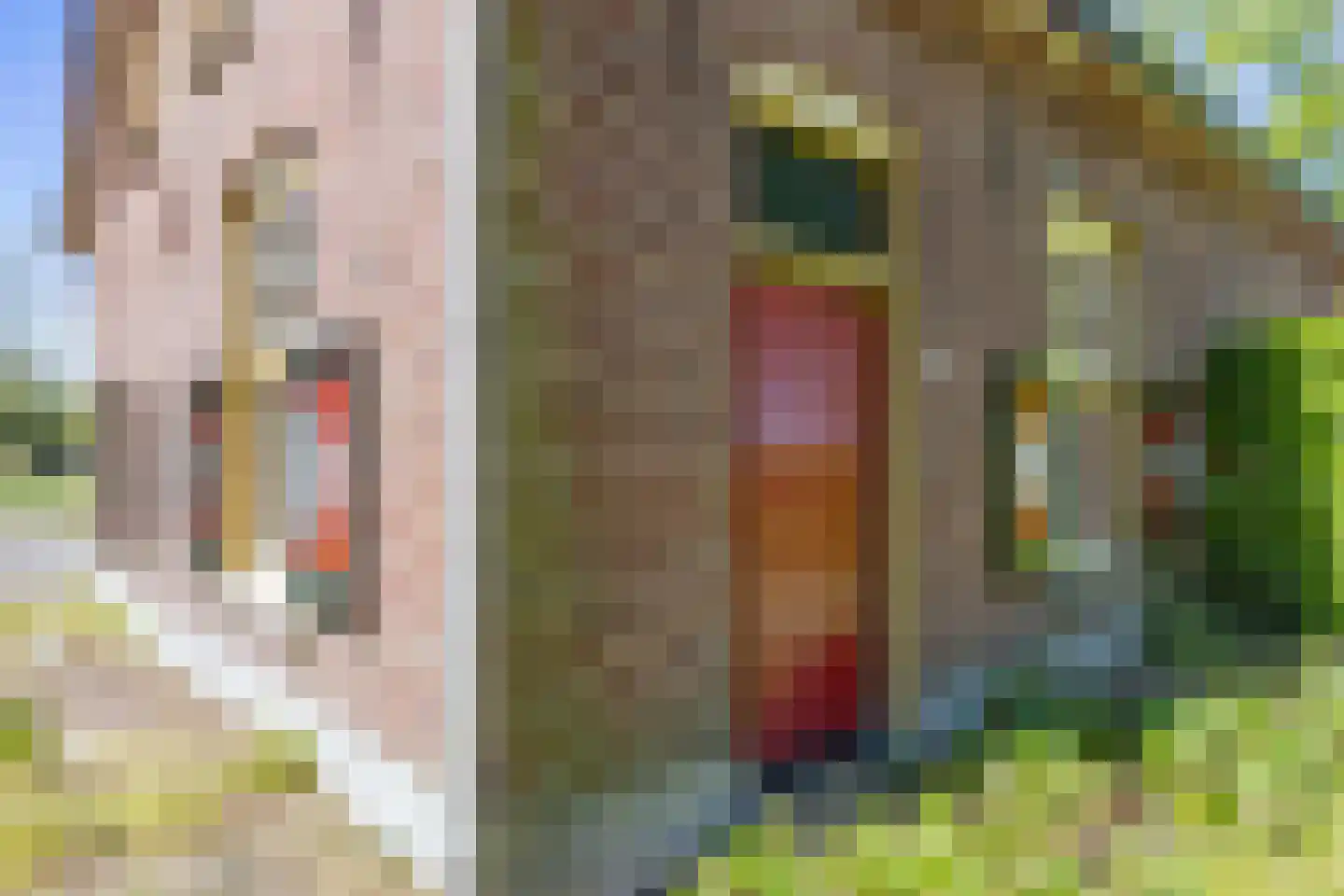Prins Hendriklaan 1 Hooge Mierde thumbnail 4
