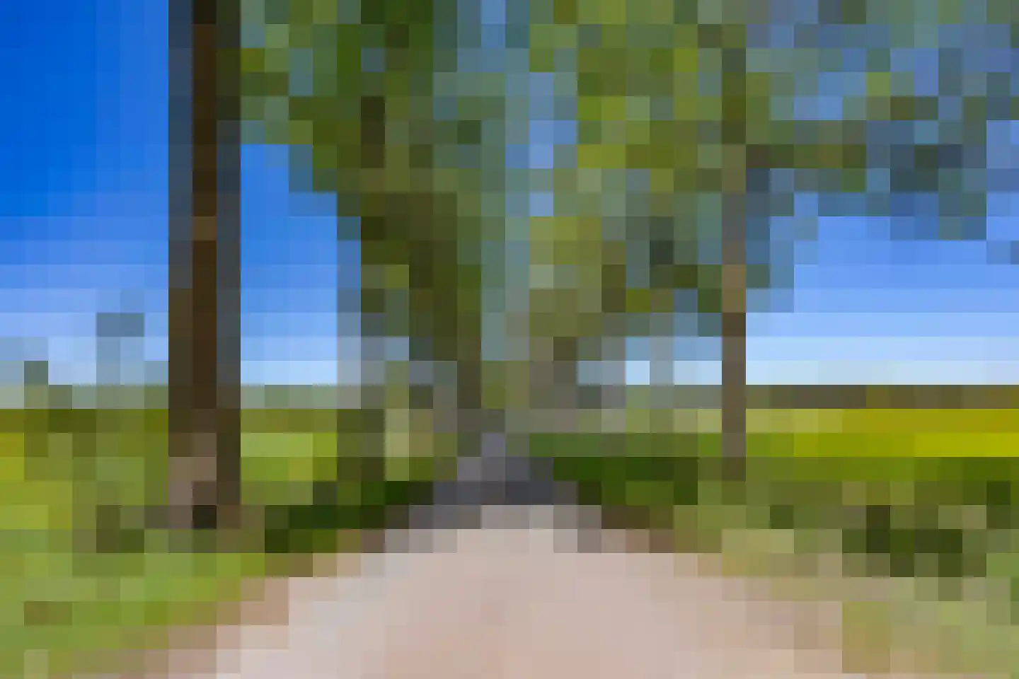 Prins Hendriklaan 1 Hooge Mierde thumbnail 40