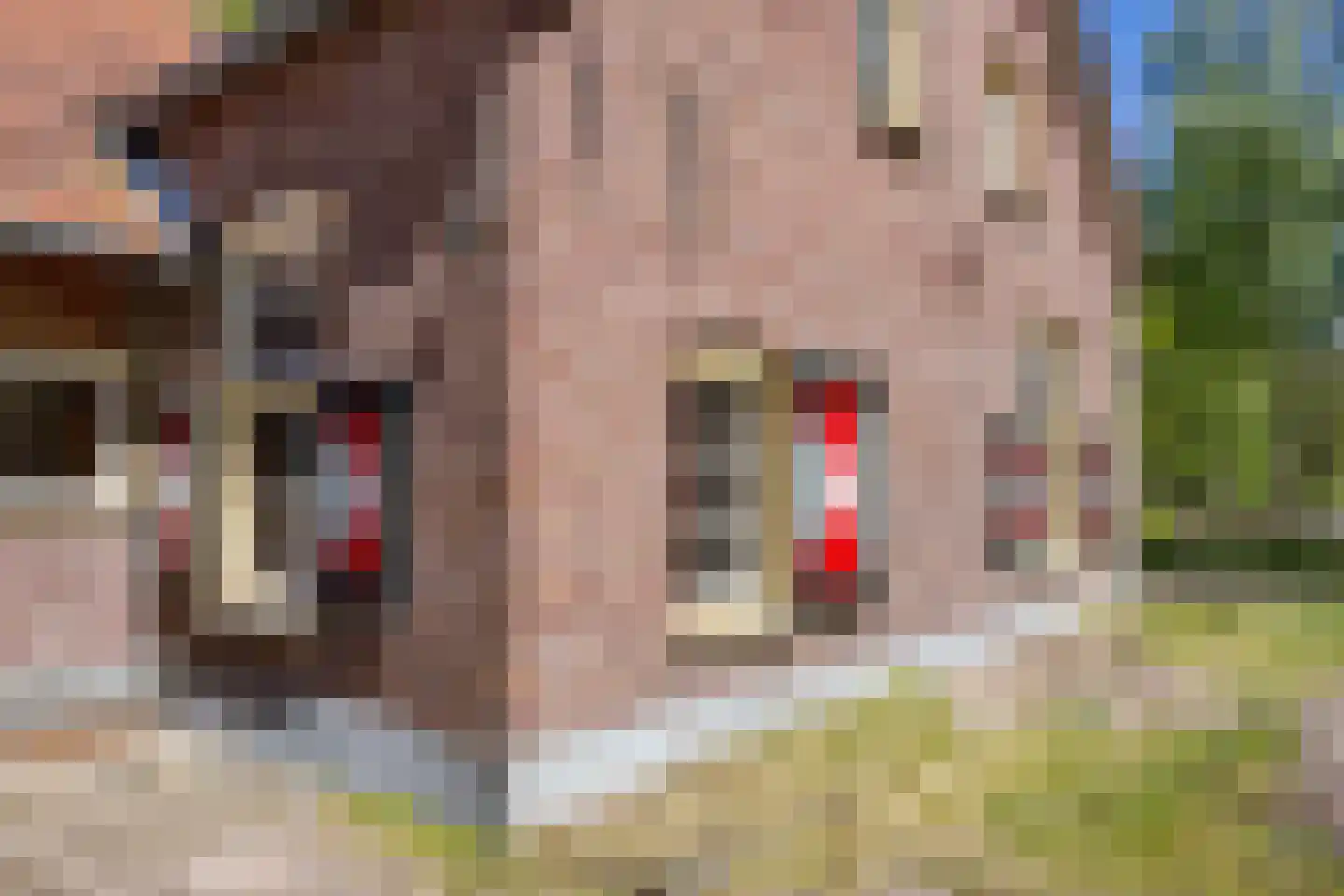 Prins Hendriklaan 1 Hooge Mierde thumbnail 6
