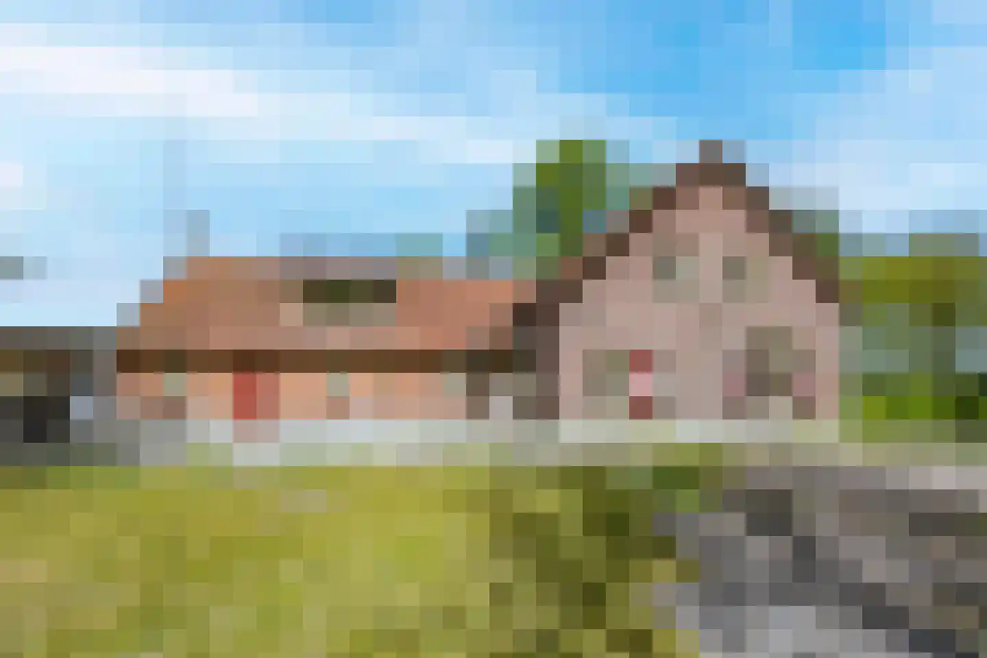 Prins Hendriklaan 1 Hooge Mierde thumbnail 7