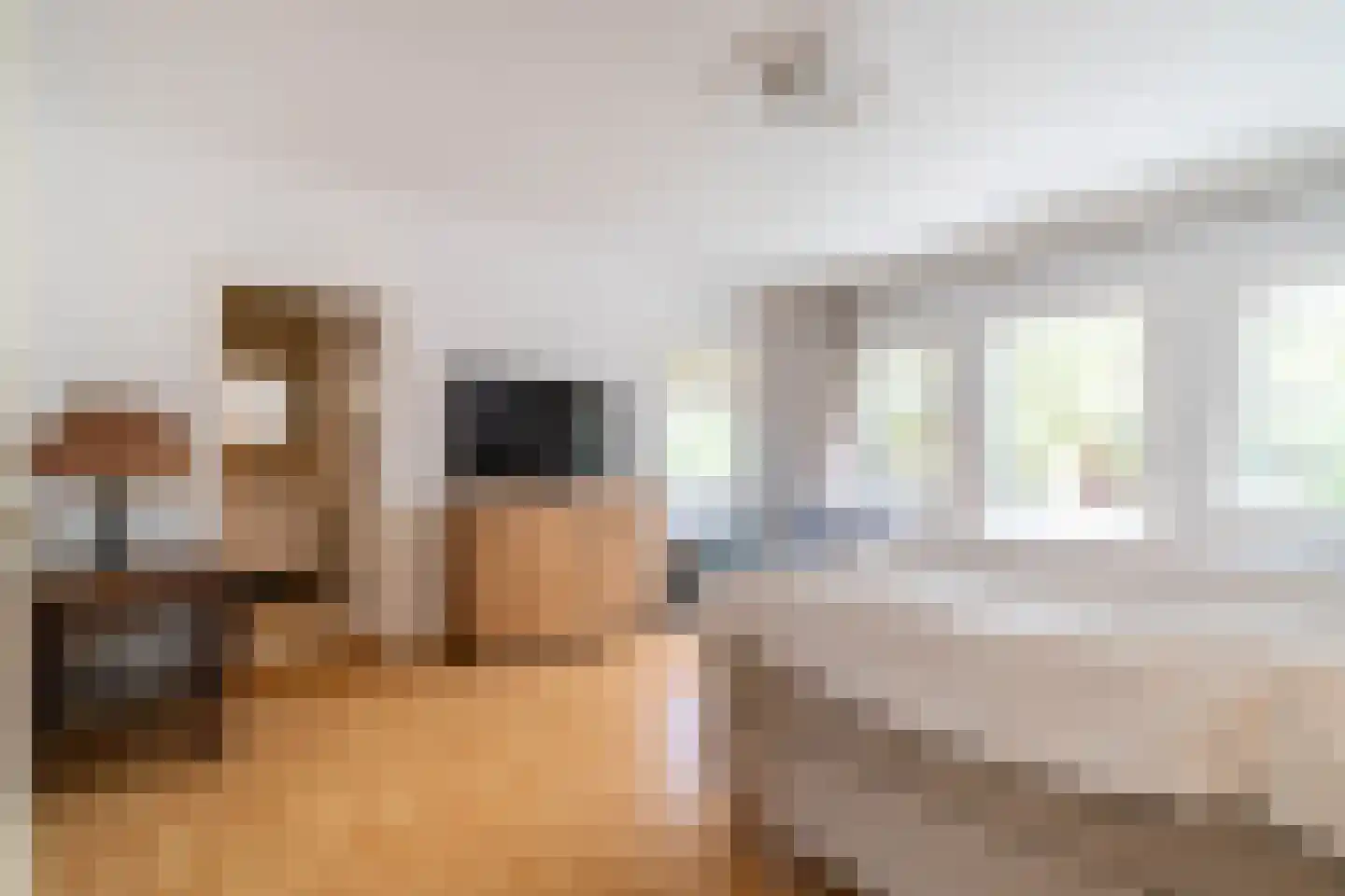 Prins Hendriklaan 1 Wassenaar thumbnail 14