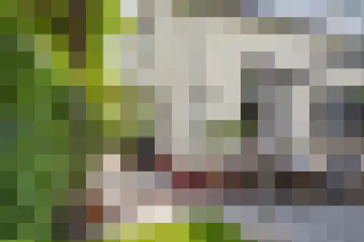 Prins Hendriklaan 109 Bilthoven thumbnail 20