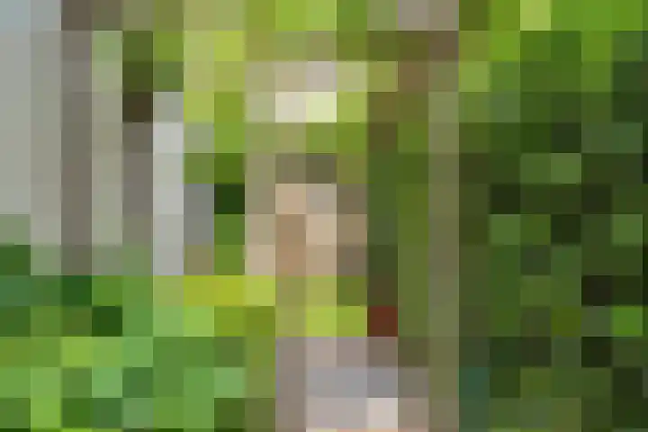 Prins Hendriklaan 109 Bilthoven thumbnail 22