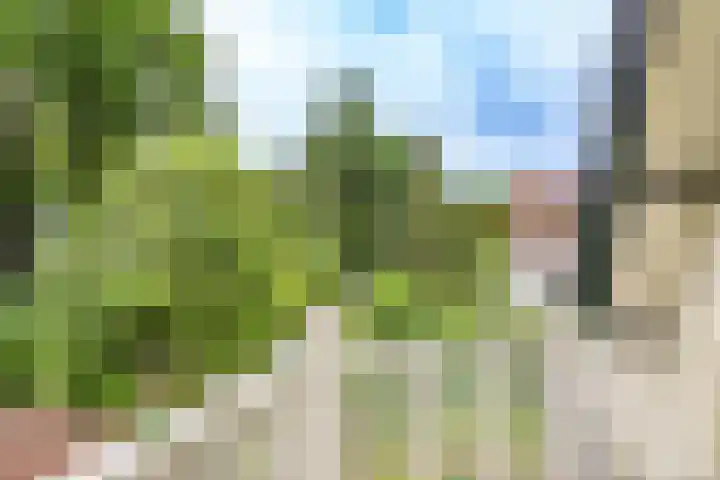 Prins Hendriklaan 109 Bilthoven thumbnail 30