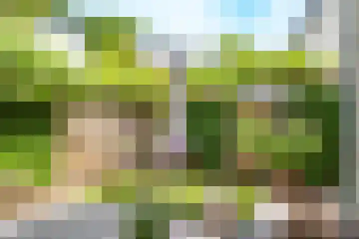 Prins Hendriklaan 109 Bilthoven thumbnail 4