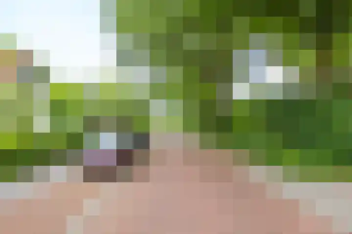 Prins Hendriklaan 109 Bilthoven thumbnail 49