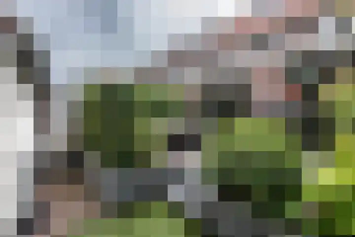 Prins Hendriklaan 109 Overveen thumbnail 4