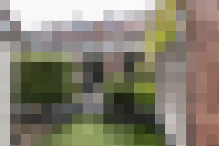 Prins Hendriklaan 109 Overveen thumbnail 41