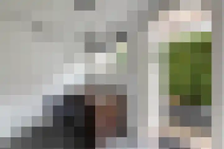 Prins Hendriklaan 109 Overveen thumbnail 42