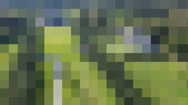 Prins Hendriklaan 109 Overveen thumbnail 47