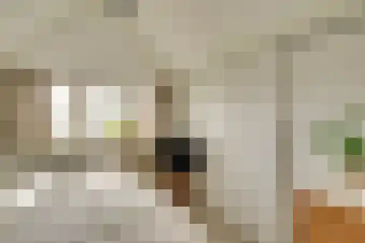 Prins Hendriklaan 11 Nieuwegein thumbnail 38