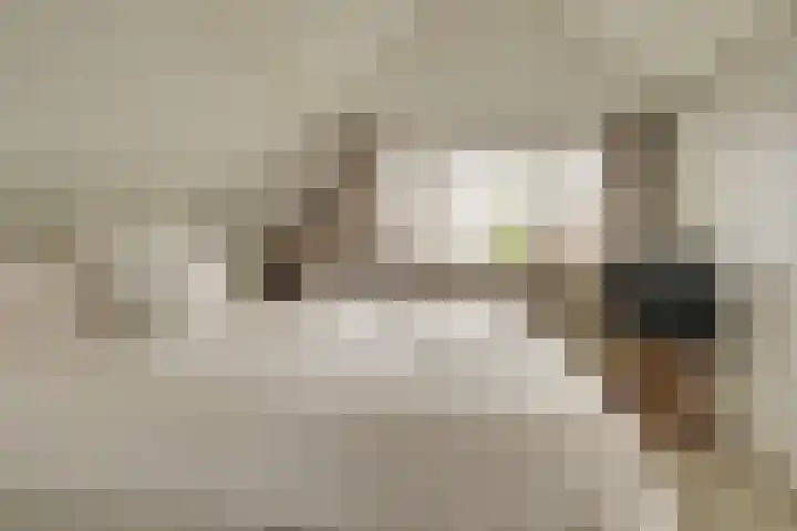 Prins Hendriklaan 11 Nieuwegein thumbnail 39