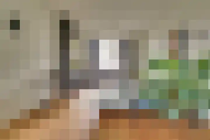 Prins Hendriklaan 11 Nieuwegein thumbnail 4