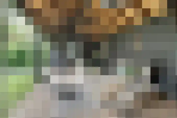 Prins Hendriklaan 11 Nieuwegein thumbnail 53
