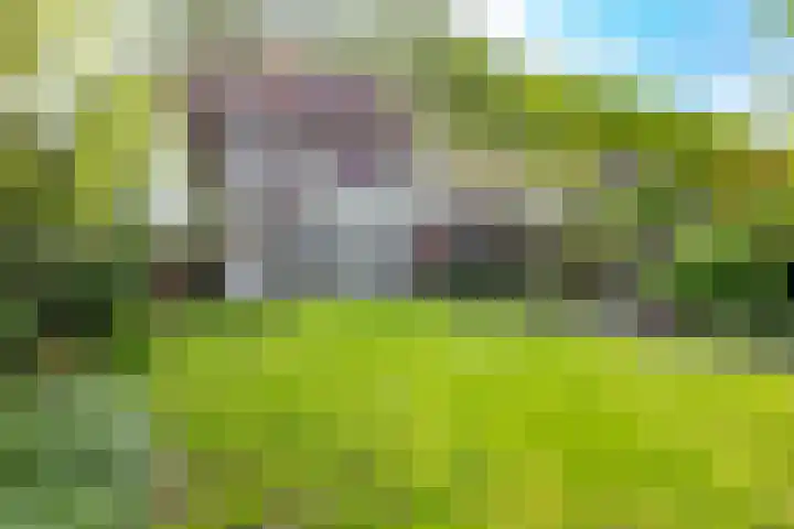 Prins Hendriklaan 11 Nieuwegein thumbnail 57