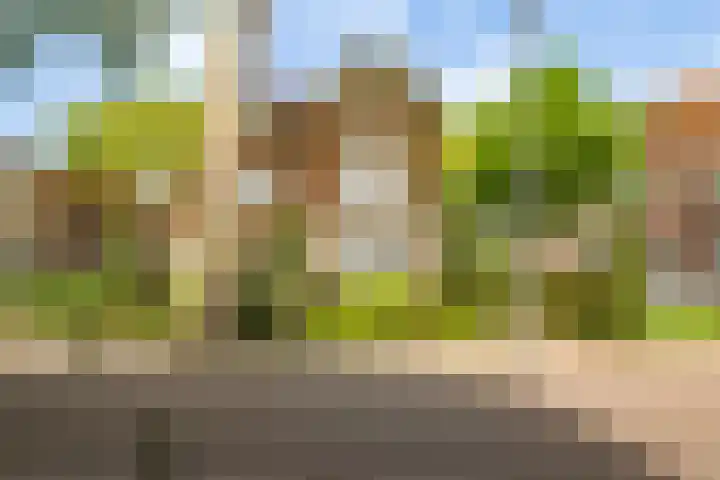 Prins Hendriklaan 11 Nieuwegein thumbnail 63