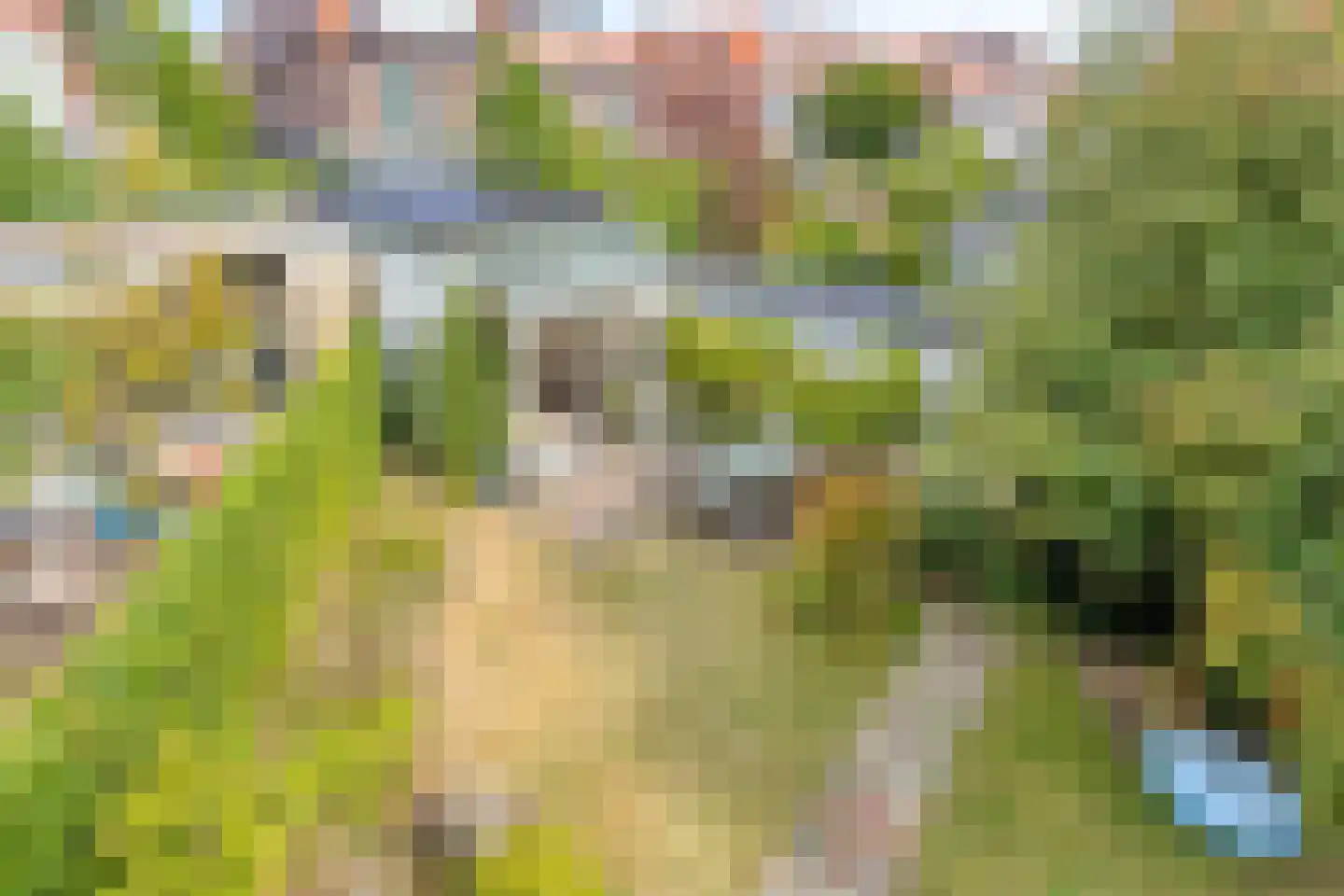 Prins Hendriklaan 11 Oegstgeest thumbnail 45