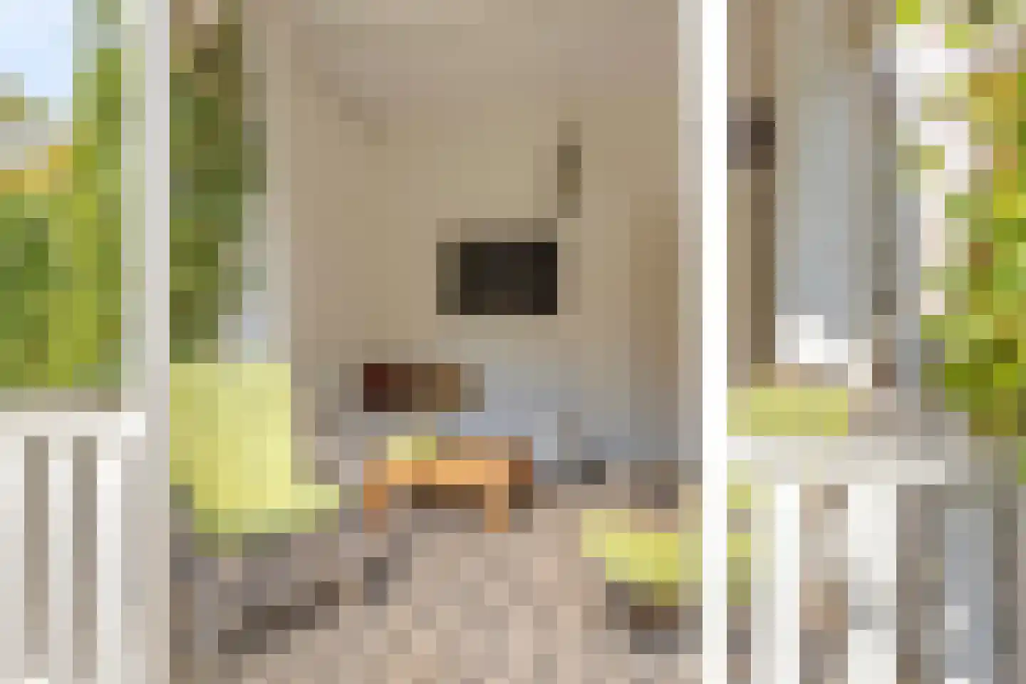 Prins Hendriklaan 11 Oegstgeest thumbnail 48