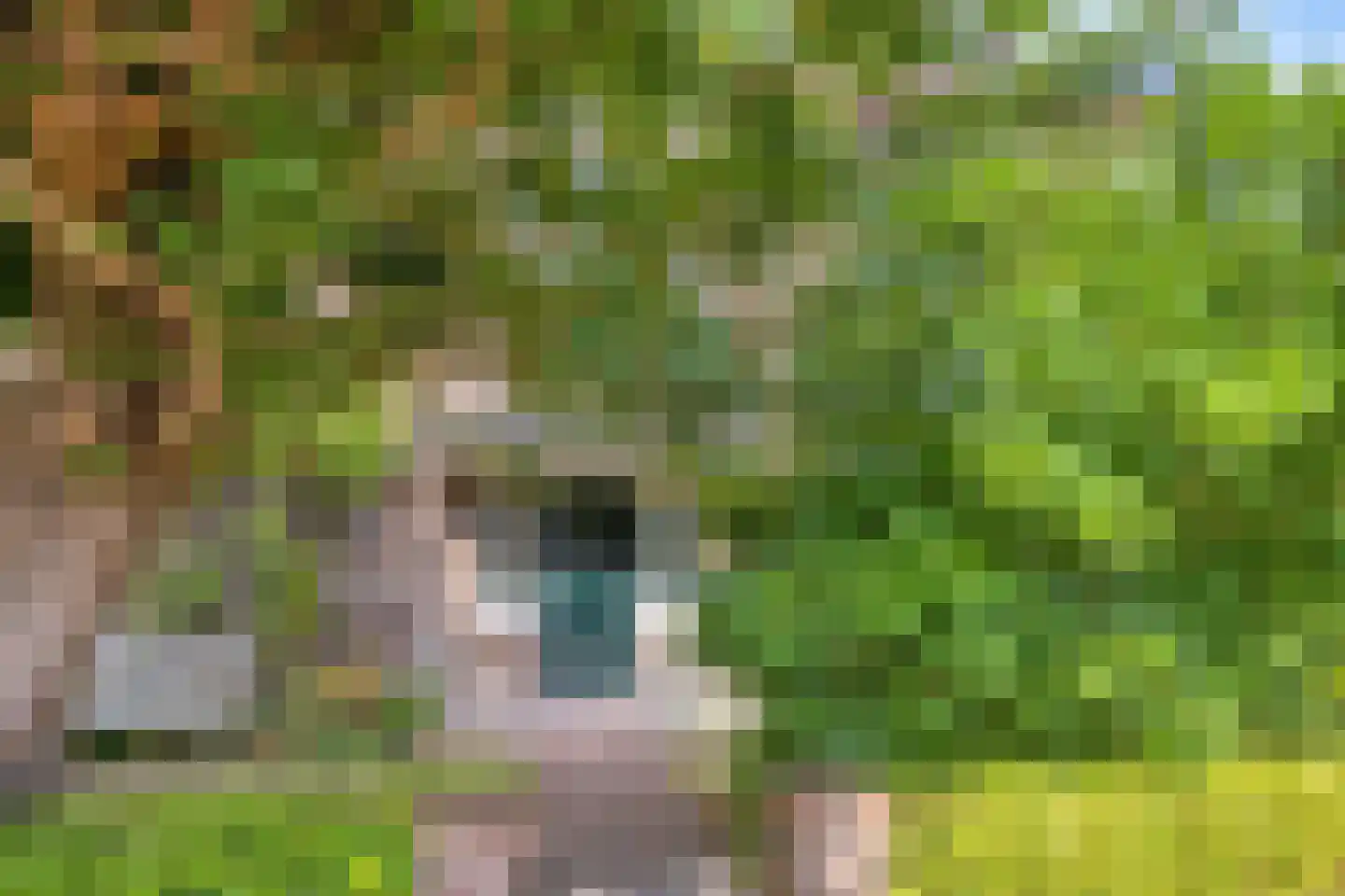 Prins Hendriklaan 11 Oegstgeest thumbnail 5