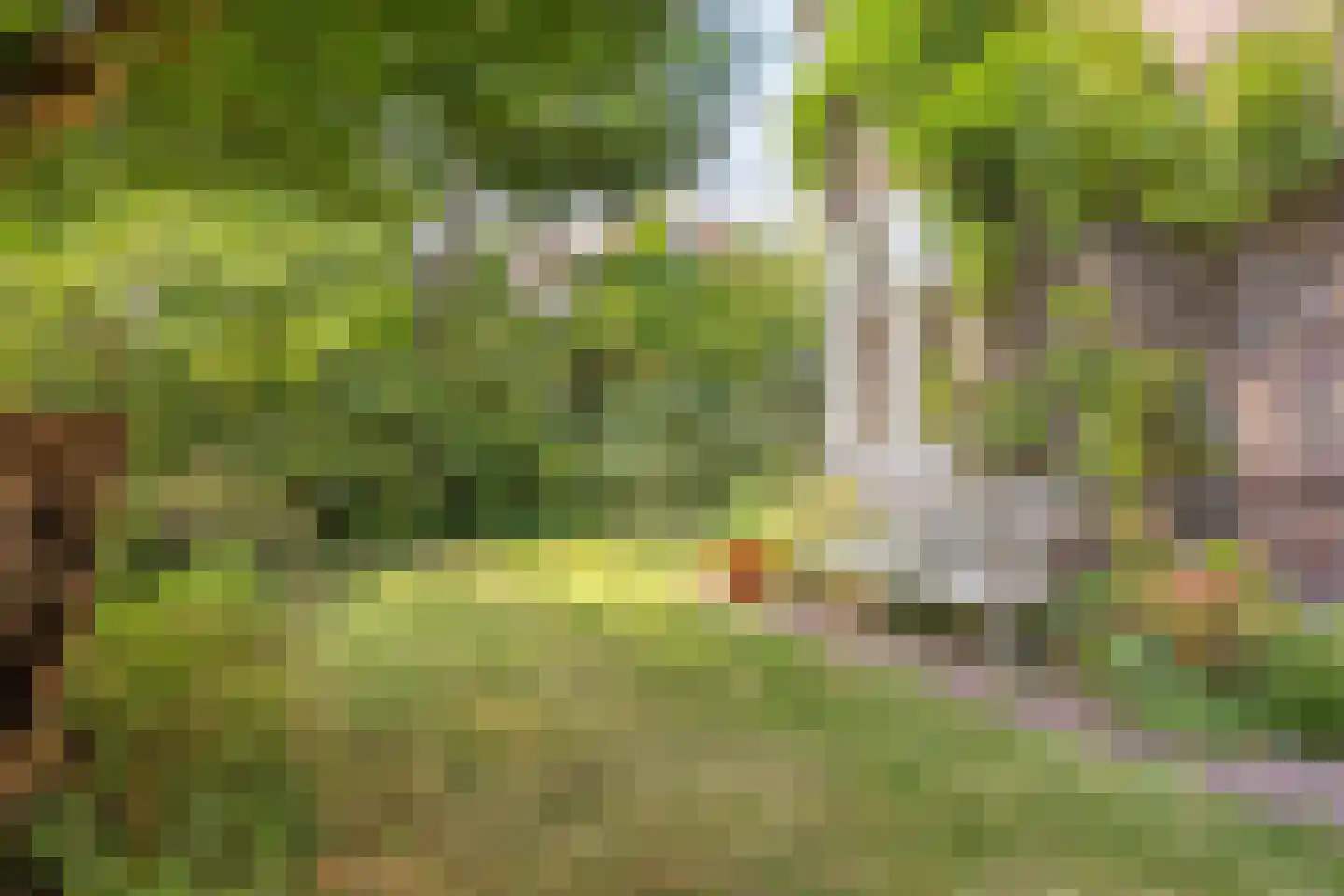 Prins Hendriklaan 11 Oegstgeest thumbnail 8