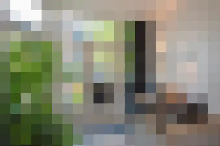 Prins Hendriklaan 11 Rijswijk thumbnail 16
