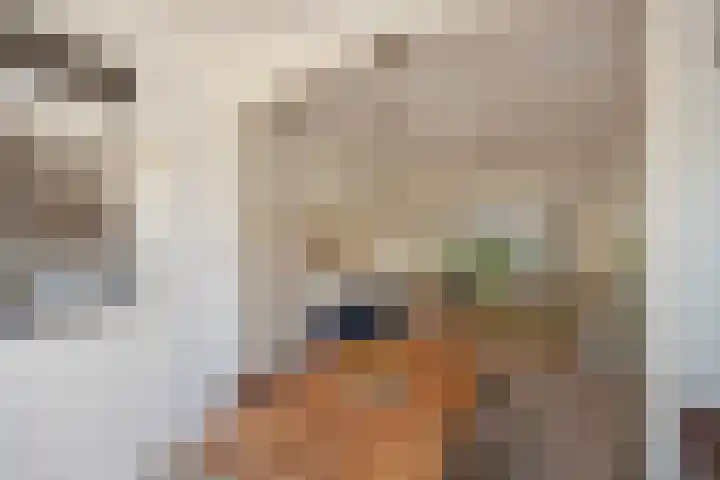 Prins Hendriklaan 11 Rijswijk thumbnail 21