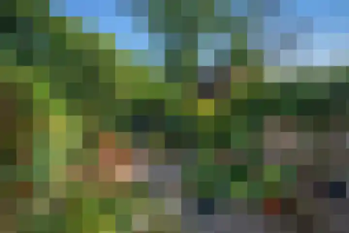 Prins Hendriklaan 11 Rijswijk thumbnail 23