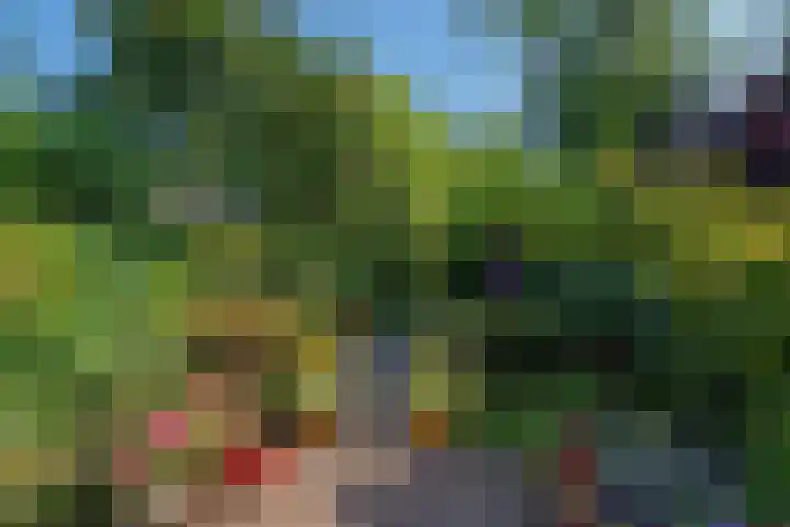 Prins Hendriklaan 11 Rijswijk thumbnail 24