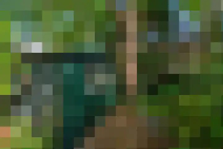 Prins Hendriklaan 11 Rijswijk thumbnail 28