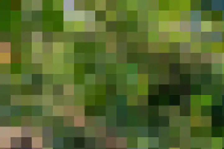 Prins Hendriklaan 11 Rijswijk thumbnail 29